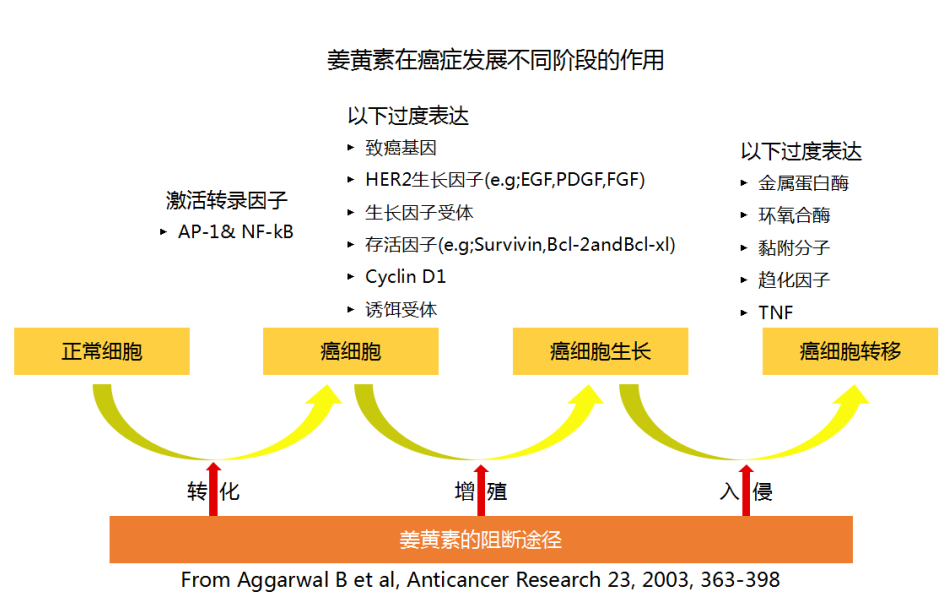 治療房顫的最新中成藥研究與應(yīng)用