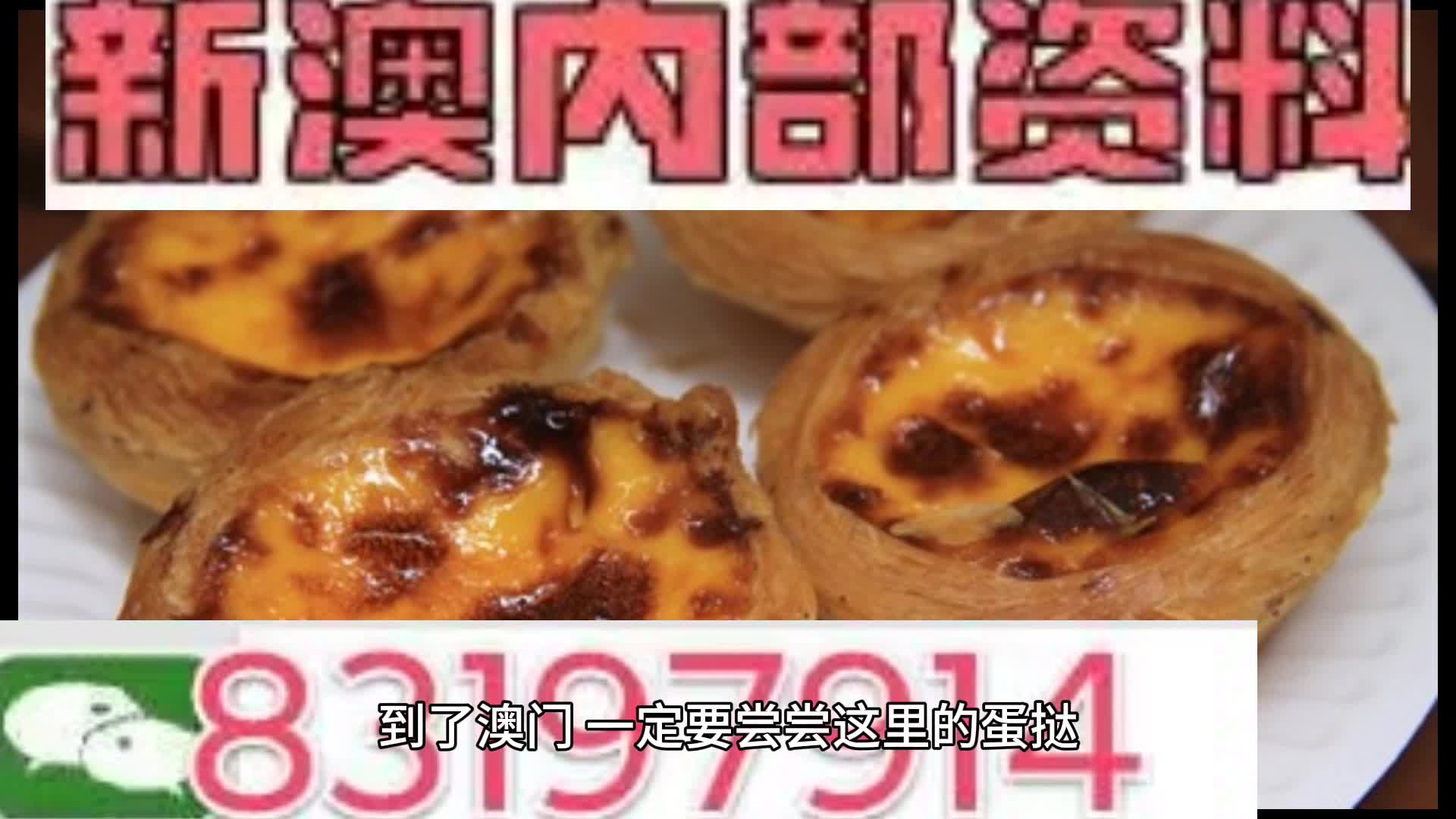 管家婆2024精準(zhǔn)資料大全，探索與應(yīng)用價(jià)值