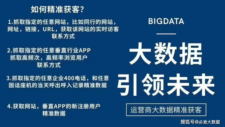 揭秘2024新奧精準正版資料，深度解析與應用指南