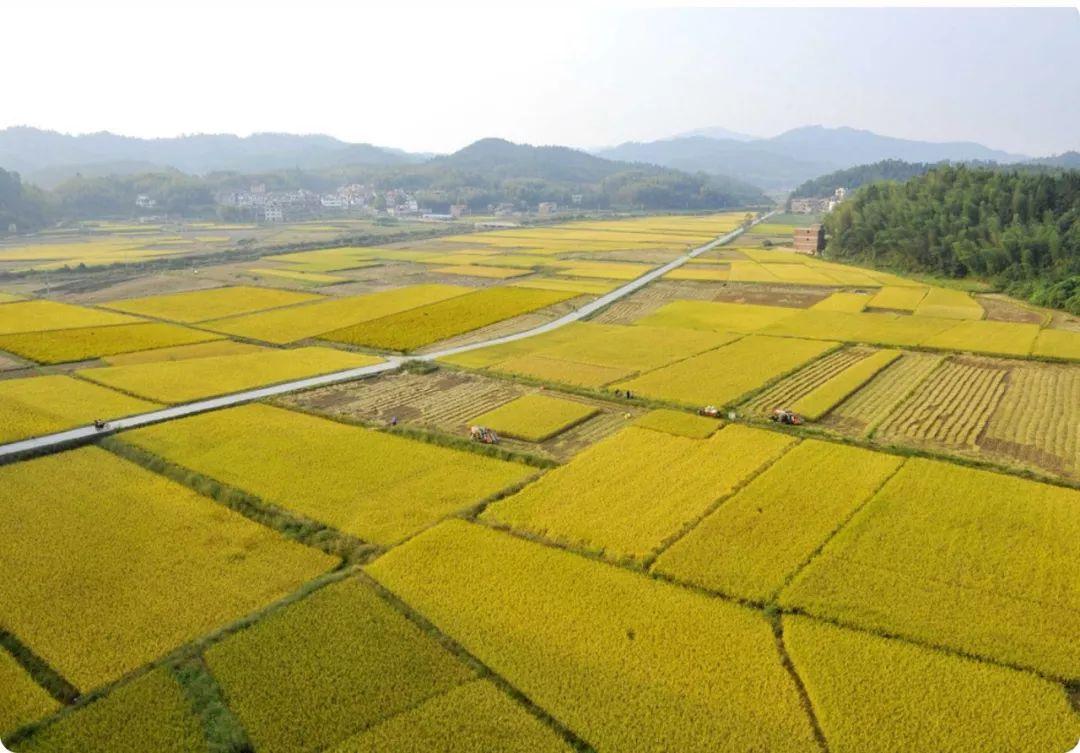 惠州市汝湖鎮(zhèn)最新規(guī)劃，打造現(xiàn)代化生態(tài)宜居城鎮(zhèn)