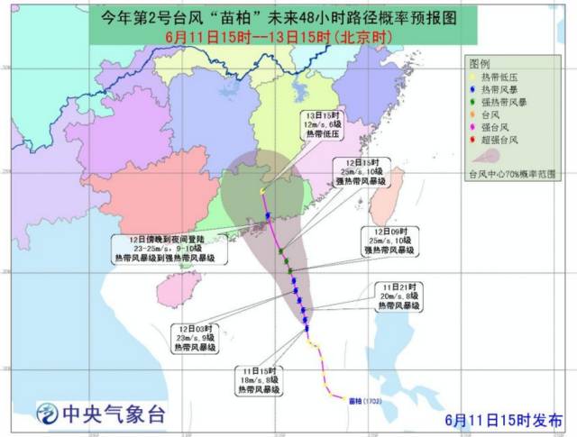 臺風(fēng)苗柏最新消息視頻，實時更新與深度解析