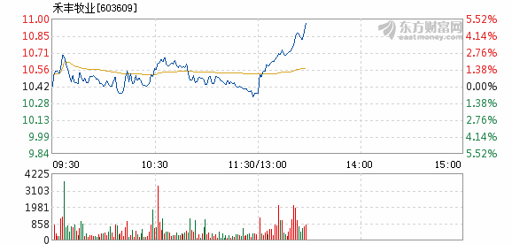 禾豐牧業(yè)股票最新消息深度解析