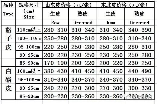 尚村貉皮最新價格行情分析