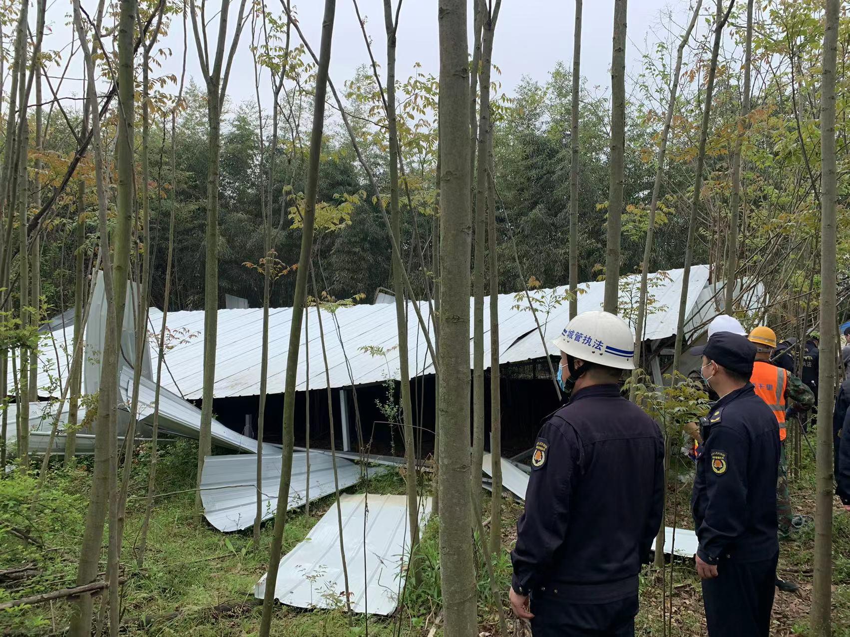 武漢江夏征地最新新聞