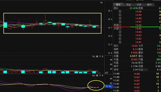 佰利聯(lián)股票最新消息全面解析